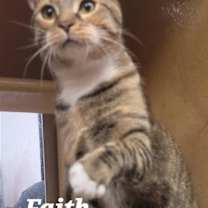 Thumbnail photo of Faith #2