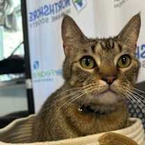 Thumbnail photo of Jason #1