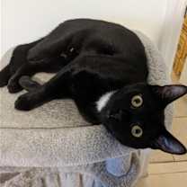 Thumbnail photo of Max #1