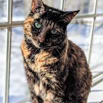 Thumbnail photo of Charlotte #1