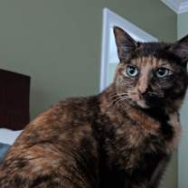 Thumbnail photo of Charlotte #2