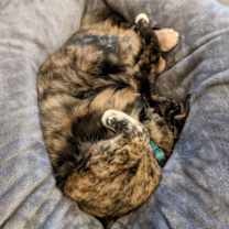 Thumbnail photo of Charlotte #4
