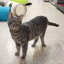 Thumbnail photo of Duncan #1