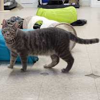 Thumbnail photo of Duncan #2