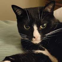 Thumbnail photo of Sally #1