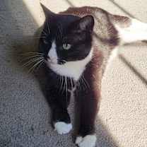 Thumbnail photo of Sally #2