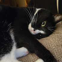 Thumbnail photo of Sally #3
