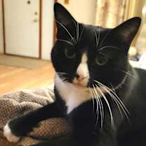 Thumbnail photo of Sally #4