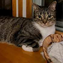 Thumbnail photo of Jonah #1