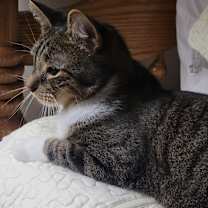 Thumbnail photo of Jonah #2