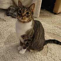 Thumbnail photo of Jonah #3