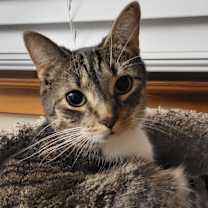 Thumbnail photo of Jonah #4
