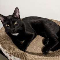 Thumbnail photo of Max #2