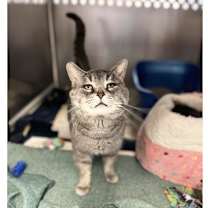 Thumbnail photo of Ranger #1