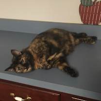 Thumbnail photo of Rhoda #3