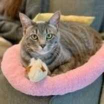 Thumbnail photo of Jill 05-4146 #2