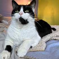Thumbnail photo of Zoey #2