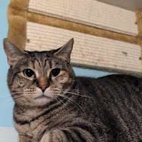 Thumbnail photo of Reese #3