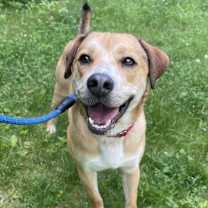 Thumbnail photo of Snickers #1