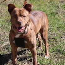 Thumbnail photo of Zeus #2