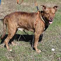 Thumbnail photo of Zeus #4