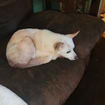 Thumbnail photo of MISSY #2