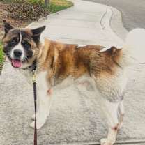 Thumbnail photo of Tobi #3