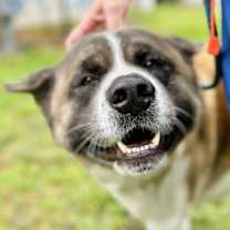 Thumbnail photo of Tobi #4