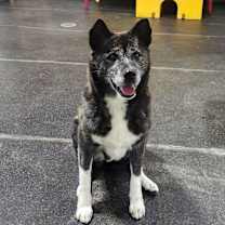 Thumbnail photo of Emi #4
