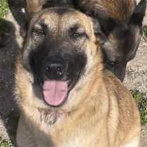 Thumbnail photo of Sasha #2
