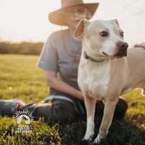 Thumbnail photo of Koda #1