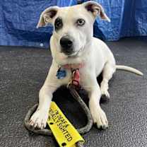 Thumbnail photo of Walter #1