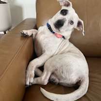 Thumbnail photo of Walter #2