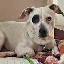 Thumbnail photo of Walter #3