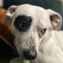 Thumbnail photo of Walter #4