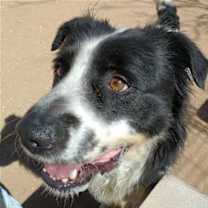 Thumbnail photo of Jack Jack #4