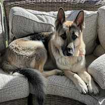 Thumbnail photo of Oliver #2
