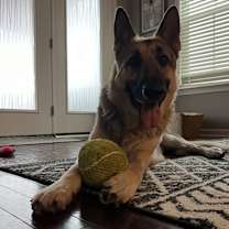 Thumbnail photo of Oliver #4