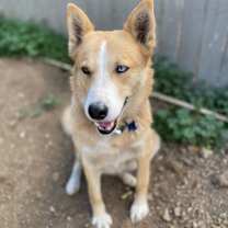Thumbnail photo of Sophie #3