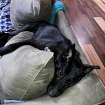Thumbnail photo of Ace #2