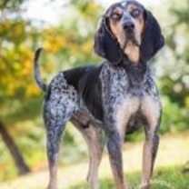 Thumbnail photo of George #1