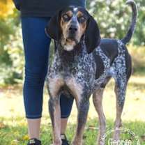 Thumbnail photo of George #2