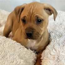 Thumbnail photo of Mav #3