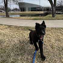 Thumbnail photo of Obie #1