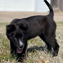 Thumbnail photo of Obie #2
