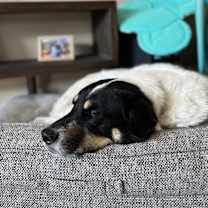 Thumbnail photo of Jaxx #1