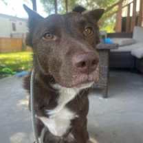 Thumbnail photo of Kenai #3
