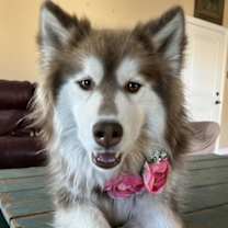 Thumbnail photo of Bonnie #1