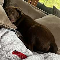 Thumbnail photo of Max #1
