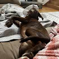 Thumbnail photo of Max #2